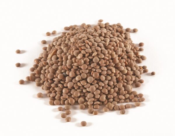 Brown Lentis 1kg