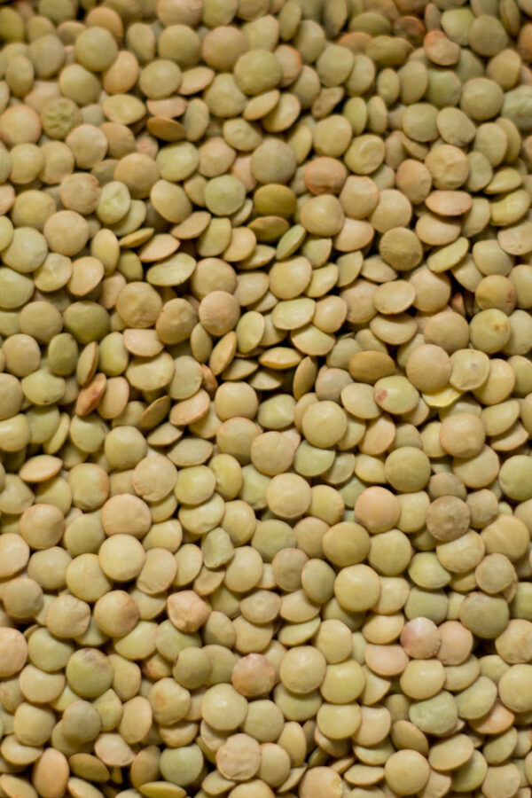 Green Lentils x 1kg