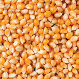 Popcorn 1kg