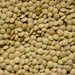 Green Lentils x 1kg